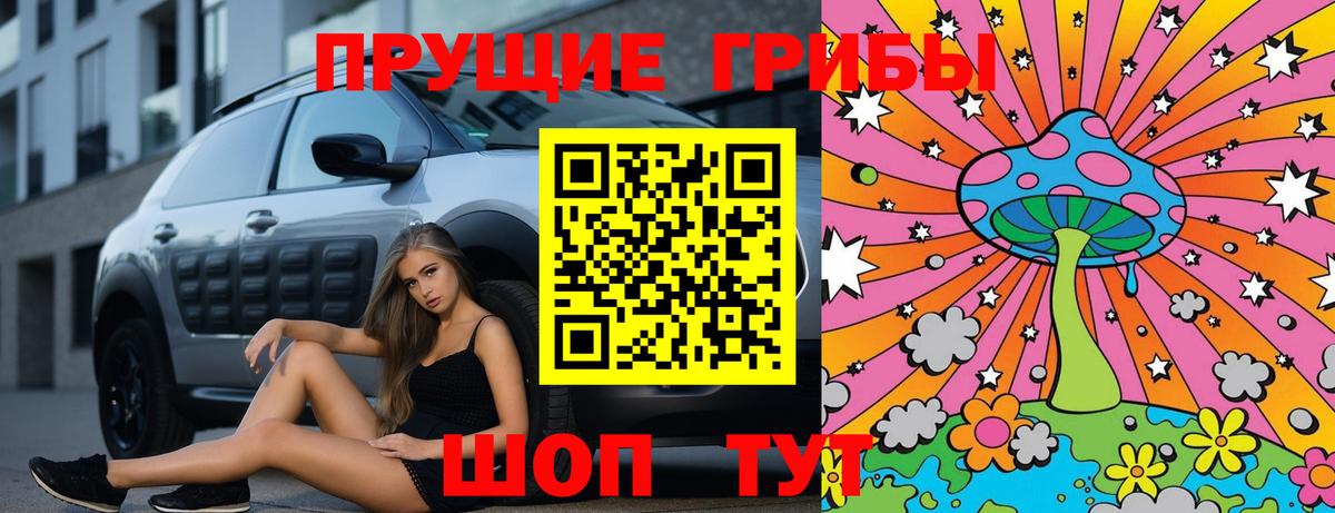Галлюциногенные грибы Psilocybine cubensis  Вход с VPN  Арсеньев 